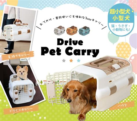 ドライブペットキャリー完全ガイド：愛犬と快適で安全なドライブを実現する