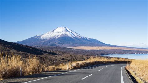 ドライブ車の魅力と進化