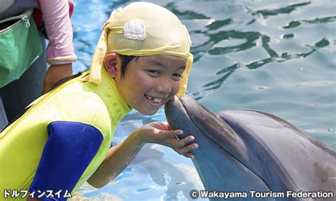 ドルフィンリゾート 和歌山県で最高の海洋体験