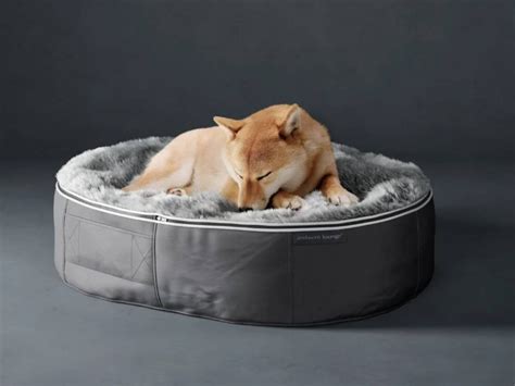 ドームベッドで愛犬の睡眠を快適に！