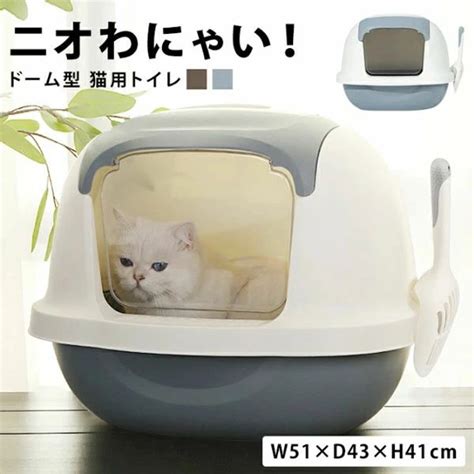 ドーム型猫トイレがもたらす画期的な猫のトイレ体験