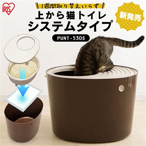 ドーム型猫トイレのメリット、デメリット、選び方