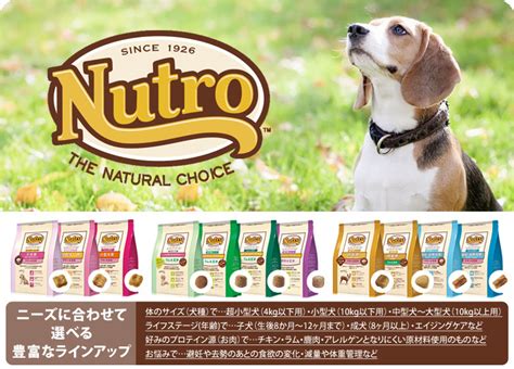 ナチュラルチョイス：愛犬の健康的な選択