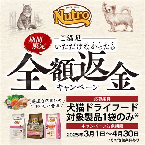 ナチュラルチョイス 穀物フリー 猫 評判