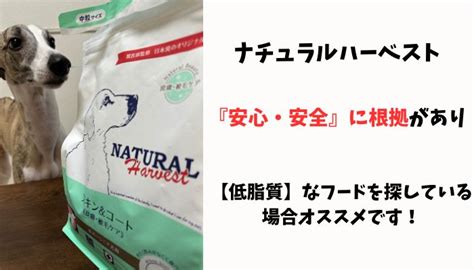 ナチュラルハーベスト 価格の徹底解説：お得に自然派食品を手に入れる方法