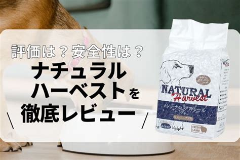 ナチュラルハーベスト 口コミと評判：安心・安全なサプリメントで健康生活を