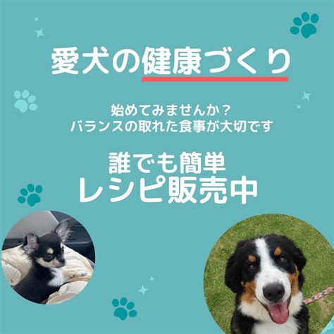 ナチュラルバランスで愛犬の健康を保つ