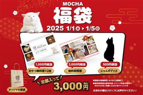 ニャンコクラブ初回無料！猫好き必見の限定特典