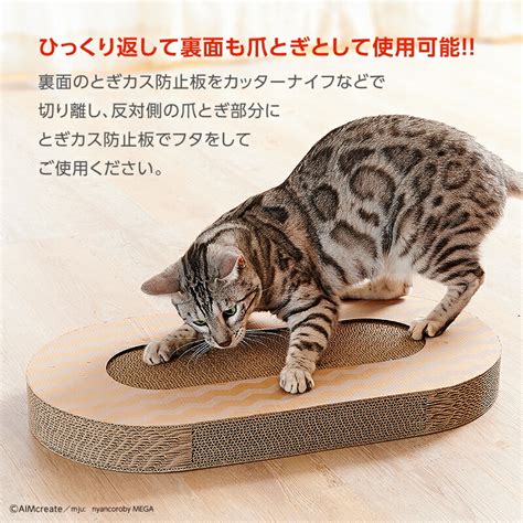 ニャンコ ロビーで猫と癒やしのひとときを