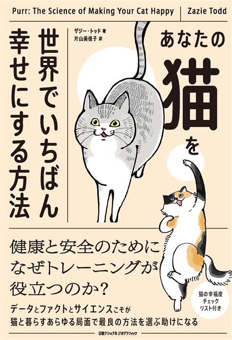 ニャンシーはあなたの猫を幸せにするために何ができるのか