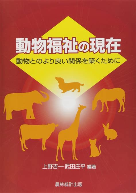 ニャーチャ: 飼い猫とのより良い関係を築くための包括ガイド