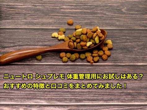 ニュートロのお試しとは？