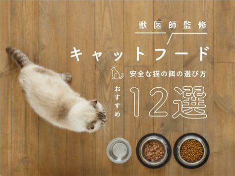 ニュートロのキャットフード口コミを大公開！獣医師が解説するメリットとデメリット