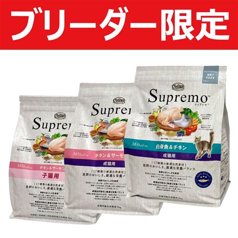 ニュートロの猫用品が半額！今だけのお得なキャンペーン