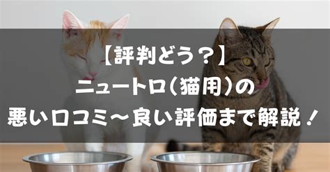 ニュートロキャットフードの口コミ〜飼い主も猫も納得〜