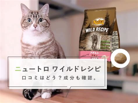 ニュートロキャットフードの口コミを徹底検証！