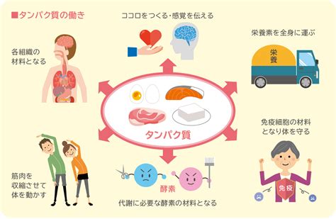 ニュートロサンプル：無垢のタンパク質で健康のバリアを構築