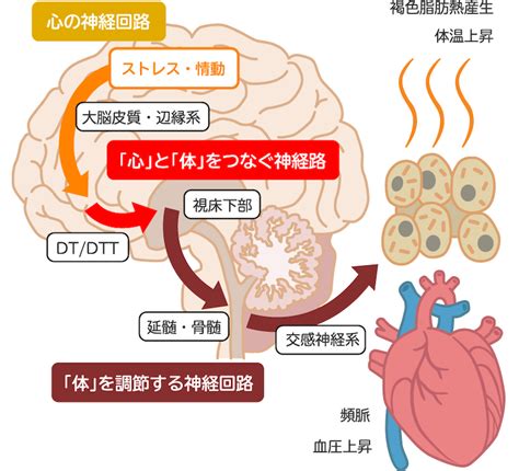 ニュートロナチュラルがもたらす、心と体の健康への革命