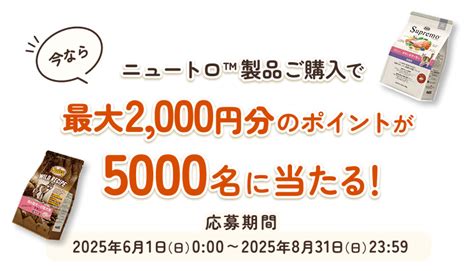 ニュートロ半額キャンペーンで健康的なペットライフを実現！