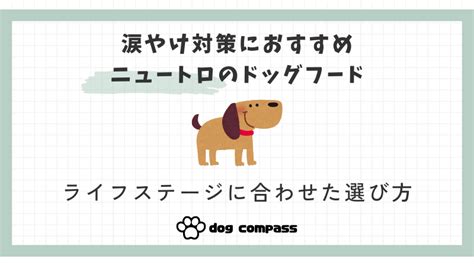 ニュートロ涙やけ完全対策ガイド：原因から予防・解決策まで徹底解説