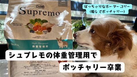 ニュートロ お試しで愛犬の健康と幸せを守ろう！