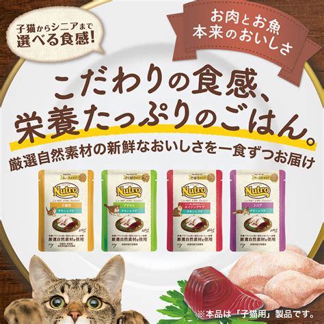 ニュートロ キャットフードの安全性：あなたの猫の健康を守るためのガイド