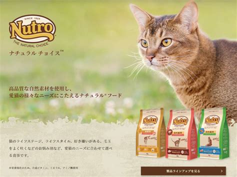 ニュートロ キャットフードの徹底レビュー：口コミや専門家の評価を徹底分析