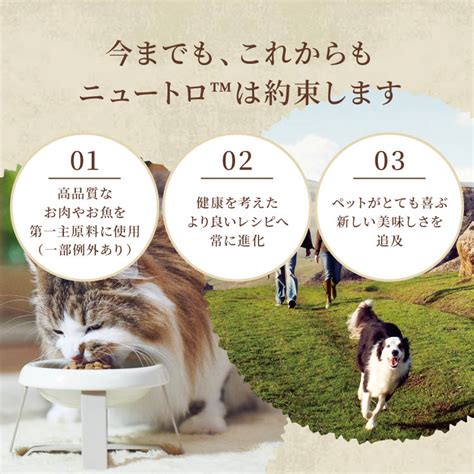 ニュートロ キャットフード徹底ガイド：愛猫の健康を守る食事とは？