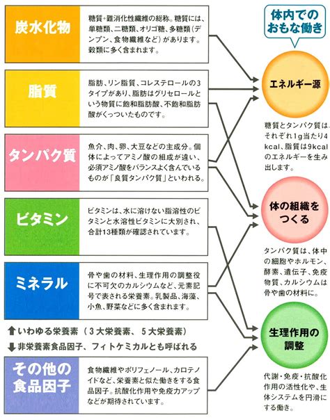 ニュートロ ダイエット: 栄養素を最適化して健康と幸福を向上