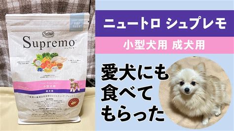 ニュートロ パピー: 愛犬の健康と幸せのために