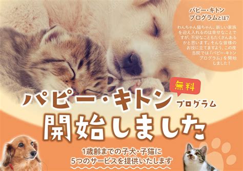 ニュートロ パピー＆キトン プログラム: 子犬と子猫の健康的な成長をサポートするための包括的なガイド