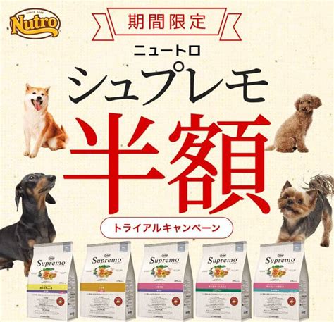 ニュートロ 半額キャンペーン開催中！愛犬・愛猫に栄養価の高いプレミアムフードを賢く給餌しよう