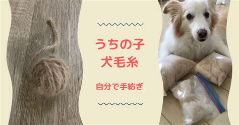 ニュートロ 毛 玉 ケア: 愛犬の健康と快適さを保つための徹底ガイド