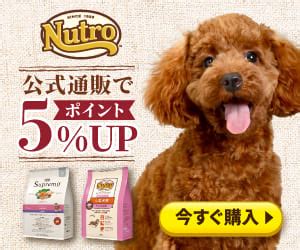 ニュートロ 涙やけ対策の決定版: 愛犬の悩みを解決する包括ガイド