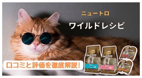 ニュートロ 猫 口コミで評判の理由を徹底調査！