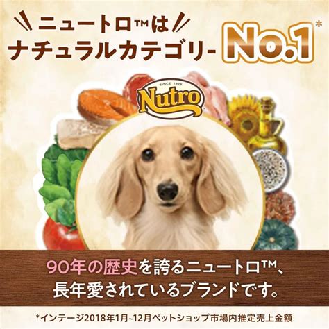 ニュートロ 鹿肉：愛犬のための究極のタンパク源