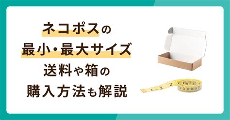 ネコのサイズ：最小のネコを徹底解剖！