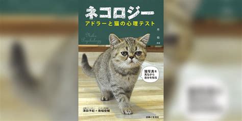 ネコの経済力、侮ることなかれ！ネコロジーが世界にもたらす、計り知れない影響