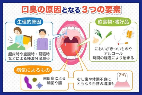 ネズミの口臭：原因、予防策、治療法