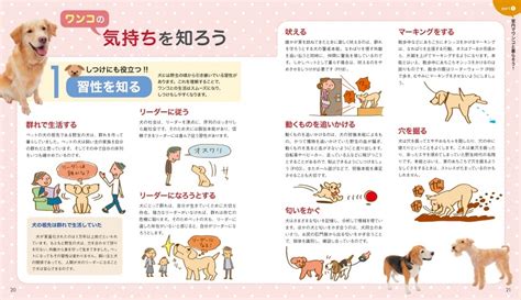 ノズル犬のすべて: 飼い方、しつけ、健康管理