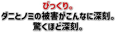 ノミダニが引き起こす深刻な被害