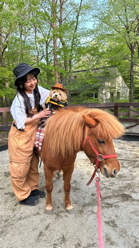 ハウステンボスでワンちゃんと過ごす素敵なひととき