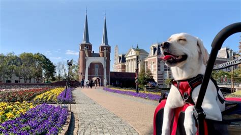 ハウステンボスに犬と行くための完全ガイド