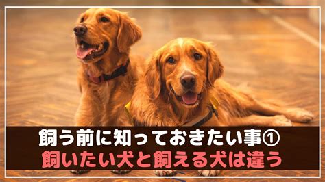 ハウス犬を飼う前に知っておきたい、大切な5つのこと