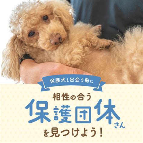 ハウス 犬：選び方と飼育の完全ガイド