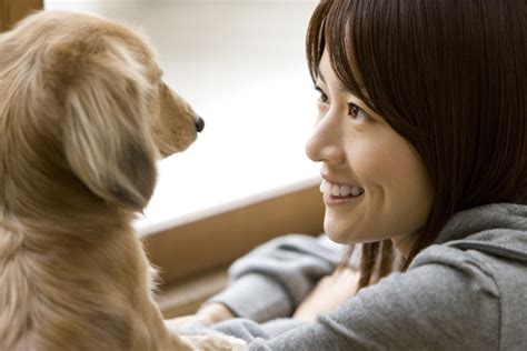 ハッピーハウスで愛犬と幸せな暮らしを送るためのガイド