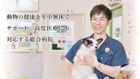 ハッピー動物病院で動物の健康を守る