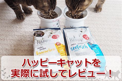 ハッピー キャット 口コミ：評判の良いキャットフードを徹底比較