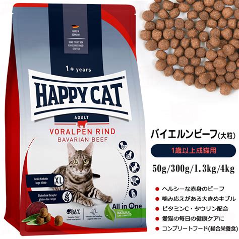 ハッピー キャット 猫でハッピーに！