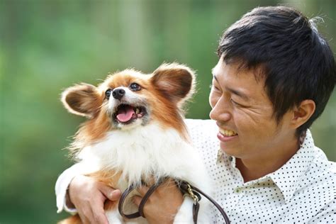 ハッピー ドッグ ～愛犬との幸せな暮らしのために～